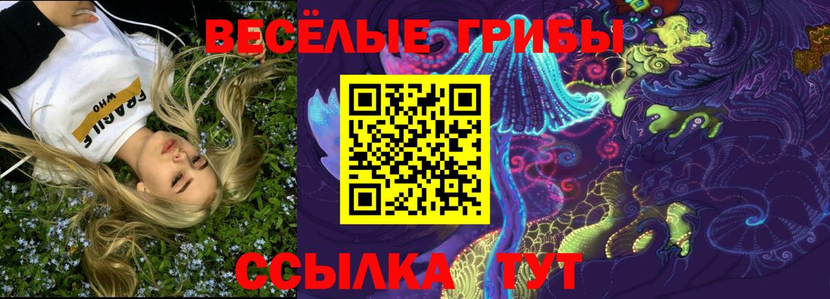 Муром  Псилоцибиновые грибы прущие грибы  Вход с VPN  Псилоцибиновые грибы MAGIC MUSHROOMS 