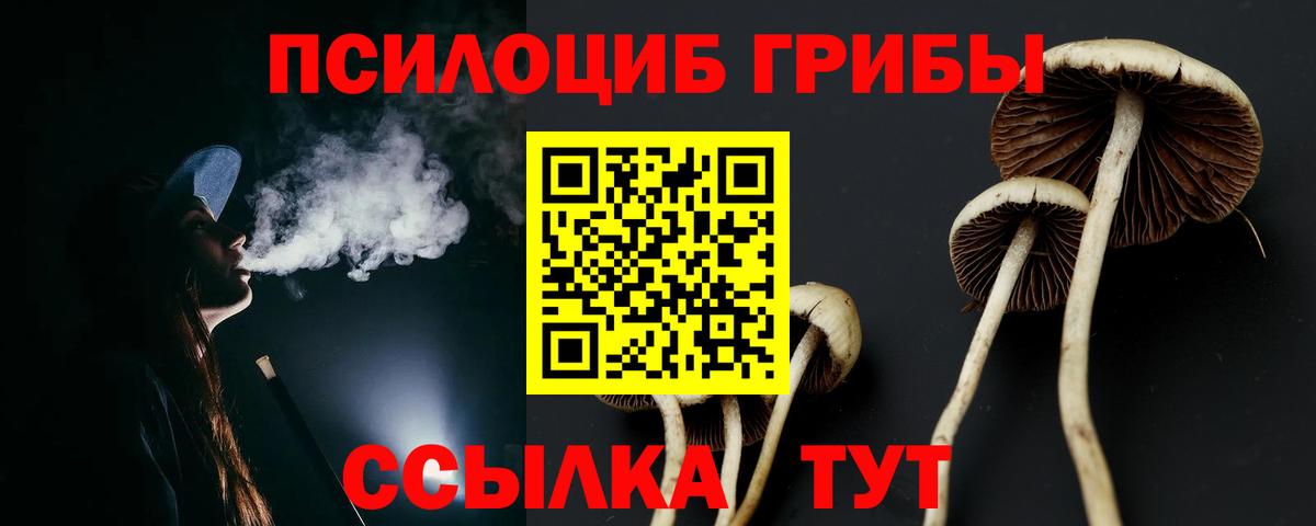 Псилоцибиновые грибы GOLDEN TEACHER Муром